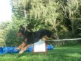 /album/fotogalerie/agility-jpg/