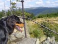 /album/fotogalerie/krkonose-jpg/